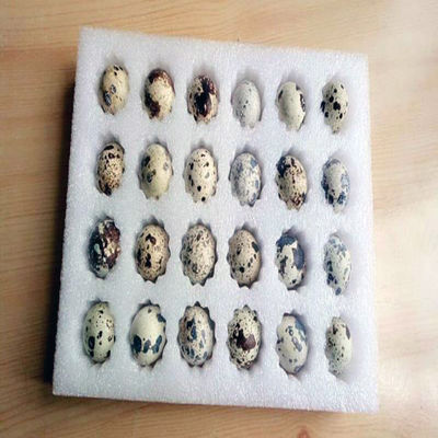 Druckmaschine für die Verpackung von langlebigen Papiermaterialien mit hydraulischem System